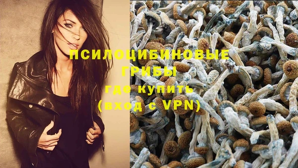 каннабис Белокуриха