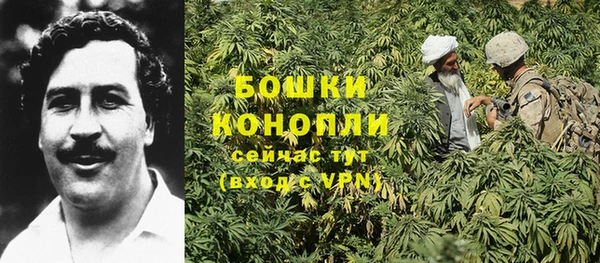 каннабис Белокуриха