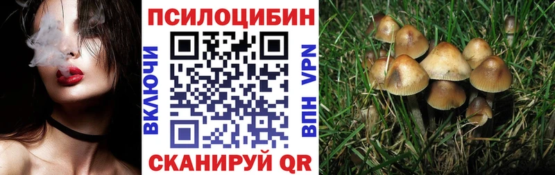 гидра зеркало купить Красноярск Галлюциногенные грибы Magic Shrooms